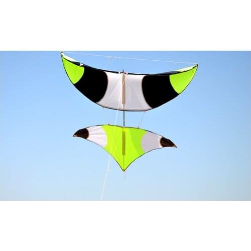 Professional Kite Breeze Kite