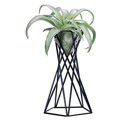 Flower Rack Tabletop Metal Iron Hanging Plant Holders Stands Plant Containers Flower Holder