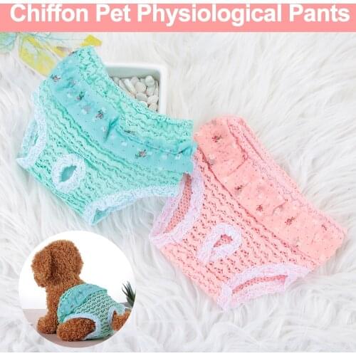 1PC Cute Elasticity Breathable Chiffon Clothes Pet Physiological Pants Dog Panties Puppy Diaper Cat Underwear Pet Supplies