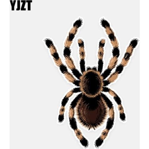 YJZT 11.1*15.1CM Coolest Scary Spider Crawl Decor Car Stickers Bumper Car Window Personalized 11A0599