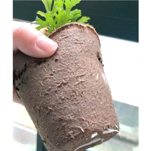 1000pcs Nursery pot 8*8cm Environment friendly dissolvable paper grow bag
