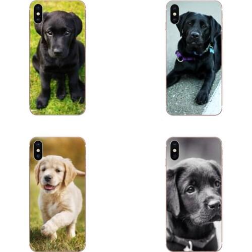 Soft Custom Phone Puppy Labrador Retriever Dog Tpu For Xiaomi Mi note 9 10 mi10 mi9 mi8 pro lite SE Mi A1 A2 A3 CC9 CC9E 9T
