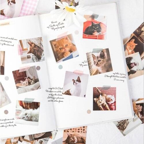 24box Cat Sticker Scrapbook Boxed Student Stationery Birthday Gift Reward Decoration DIY Handmade Adhesive Sticker Wholesale