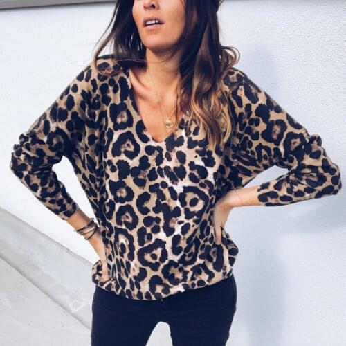 2019 Women Pullover Leopard Print T Shirt Long Sleeve Shirt Casual Tops Loose Tee Ladies Costume Spring Fashion Clothes New Sale