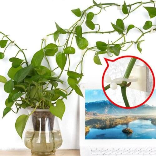 10PCS adhesive wire clamp fasteners cable protector cord organizer plants Climbing vine guides clips Fixed support holders New