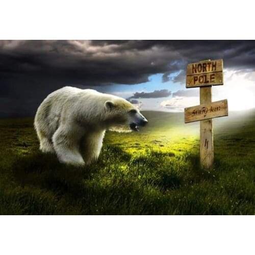 GLymg Diamond Embroidery 5D Embroidery Painting DIY Embroidery Handicrafts Painting Kit The Polar Bear Diamond Wall Art Decor