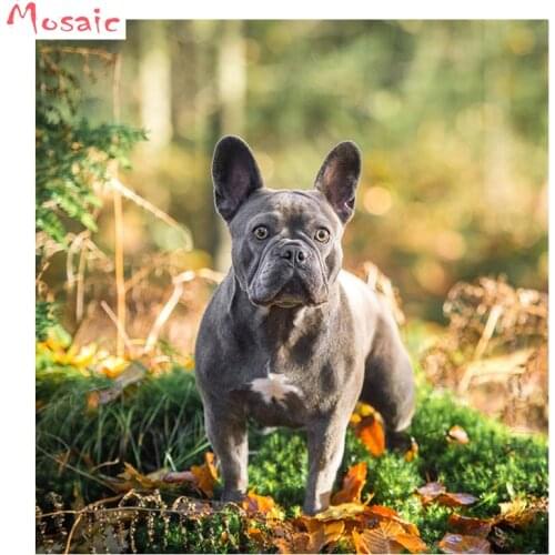 5D DIY Diamond embroidery black bulldog,diamond painting Cross Stitch full drill Rhinestone mosaic puzzle home decoration gifts