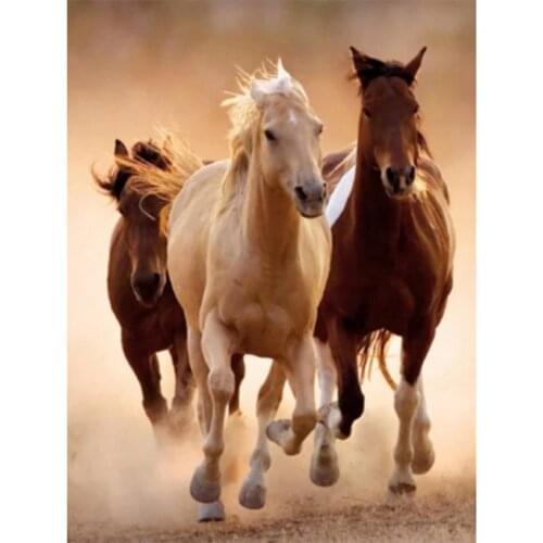 Diamond Painting 5D DIY Mosaic Square Round Diamond Painting Three Horses Running Picture Cross Stitch Kit Decoration WG2413