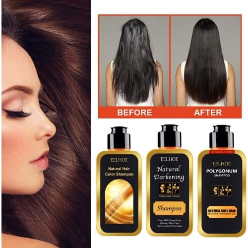Ginger Shampoo Hair Care Natural Herbal Black Hair Shampoo Polygonum Multiflorum Hair Growth Hair Loss Treatment Shampoo