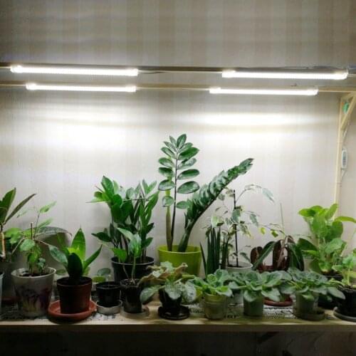 Phytolamp For Plants Timer Grow Light Strips 5V Hydroponics Orchids Phyto Lamp for Plants Seedlings at Home White Spectrum LED