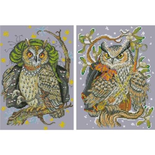 Wizard Witch Owl patterns counted 11CT 14CT DIY Chinese Cross Stitch Sets wholesale Cross-stitch Kits Embroidery Needlework