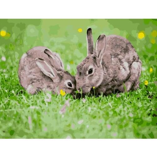 RabbitPainting By Numbers For Adults DIY Kits HandPainted On Canvas With Framed Oil Picture Drawing Coloring By Number