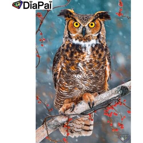 DIAPAI 5D Diy Diamond Painting Cross Stitch "Animal owl"Home Decor Full Rhinestones Inlay Diamond Embroidery A26883