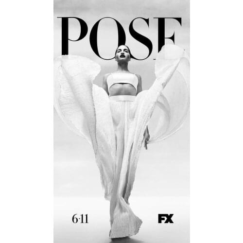 Pose FX TV Art Film Print Silk Poster Home Wall Decor 24x36inch