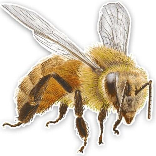 Aliauto Funny Cartoon Creative Bee Car Stickers PVC KK Decal Cover Scratches Waterproof Apply To Car Window Apply To Car Door