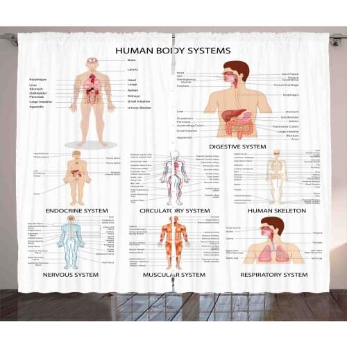 Human Body Curtains Anatomical Scheme of Organs Names Satin Fabric Drapes for Living Room Bedroom 2 Panel Window Set
