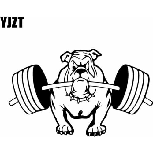 YJZT 15.5X9.4CM Bulldog Weightlifting Car Sticker Vinyl Decal Intereting Cartoon Dog Black/Silver C24-1250
