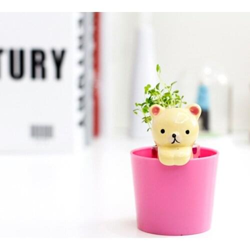 Meng things creative plants wholesale Authentic Desktop mini potted plant cultivation panniers bear tail water