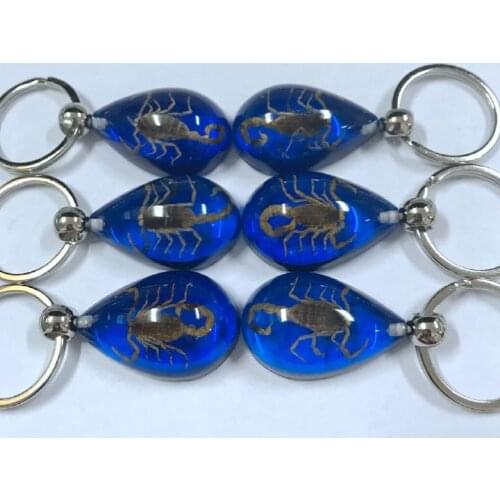 Free shipping yqtdmy 12 pcs Embedded cool insect Scorpion Blue Drop Specimens Keychain