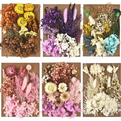 DIY Dried Flower for Resin Mold Making Real Flower for Resin Fillings Nail Art Home Craft Resin Casting Mold Making Tools