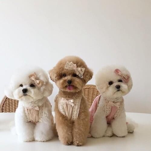 INS Korea spring and summer new lace sling Bichon Teddy dog skirt cotton pet clothes dress with lace hairpin
