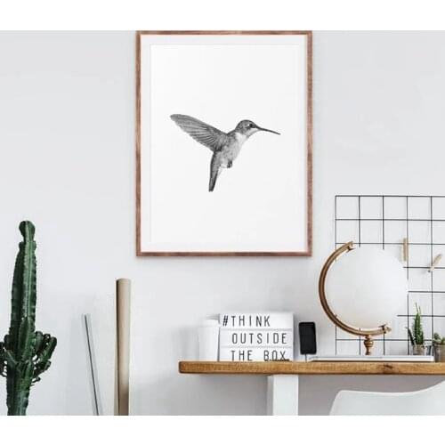 Birds Print Black and White Art Animals Picture Canvas Painting Hummingbird Photography Scandinavian Wall Poster Home Decor