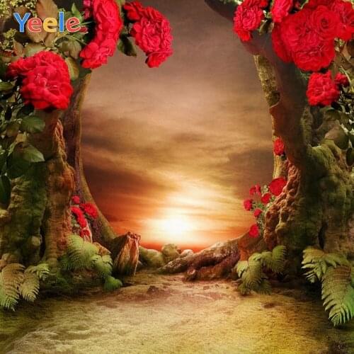 Yeele Wonderland Backdrop Fairy Tale Forest Princess Baby Shower Kids Birthday Party Photography Background For Photo Studio