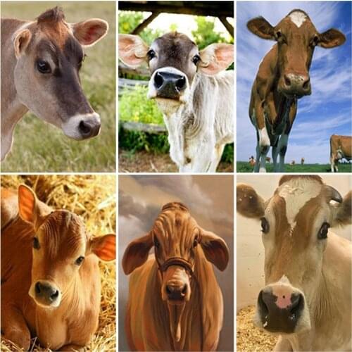 DIY Cow 5D Diamond Painting Full Square Drill Animal Diamond Embroidery Cross Stitch Kits Handicraft Wall Art Gift Home Decor