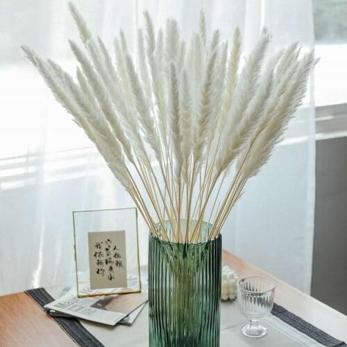 15Pcs Real Dried Reed Flowers Home Decor Wedding Decoration Table Flores Preservadas Natural Pampas Grass Decor