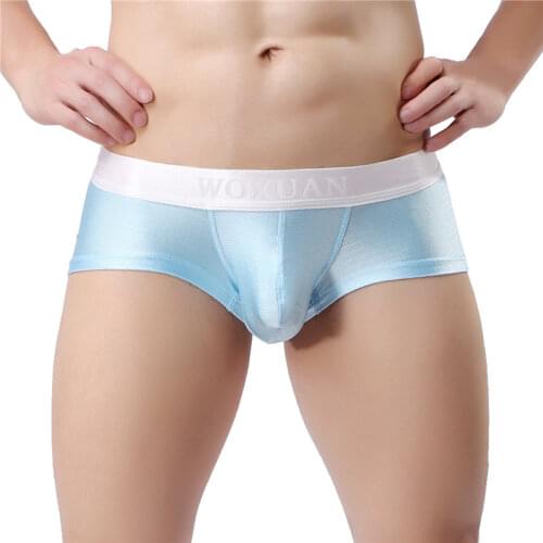 Sexy Mens Shorts Boxer Underwear Silky Comfortable Solid Boxers New Fashion Style Underwear Men Boxer Shorts Trunk