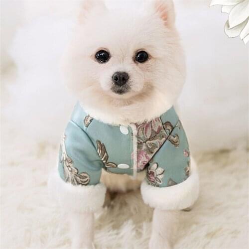 Puppy Warm Clothes Winter Dog Jacket For Small Breeds Dogs Chinese Tang Suit Cat Outfit Pomeranian Costume Chihuahua Apparel