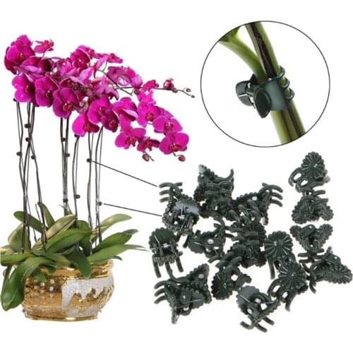 50PCS Plastic Plant Support Clips Orchid Stem Clip for Vine Support Vegetables Flower Tied Bundle Branch Clamping Garden Tool