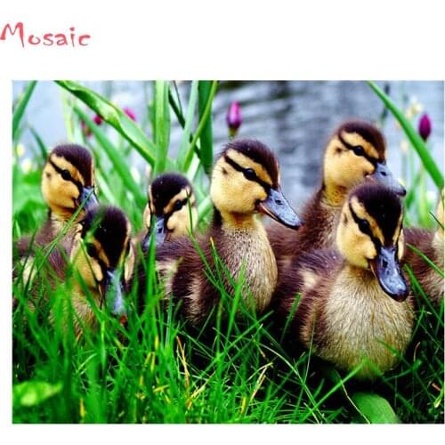 Diamond mosaic animals duck Diamond painting full square Almaznaya mosaic Diamond embroidery full square diamond Home decoration