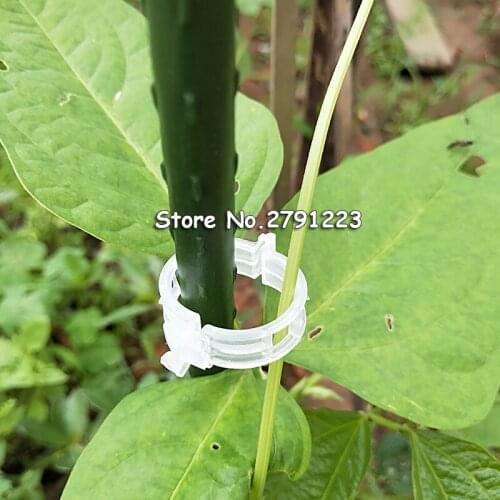 50/100pcs Reusable 25mm Plastic Plant Support Clips clamps For Plants Hanging Vine Garden Greenhouse Vegetables Tomatoes Clips
