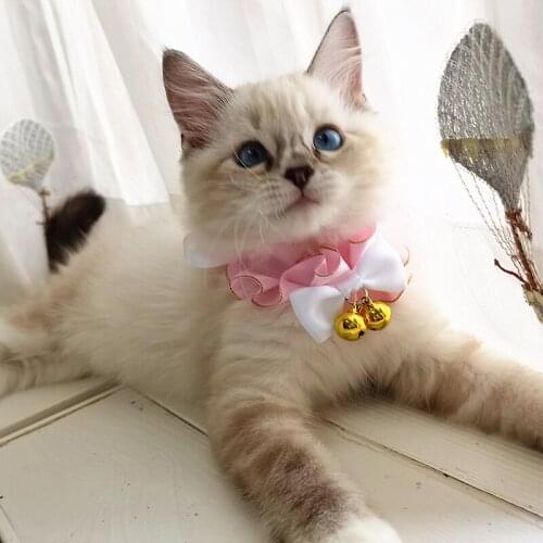 Pink Princess Cat Collar Necklace Sweet Dog Bow Tie with Bell Pet Scarf Cute Kitty Accessories Puppy Neck Strap Yorkie Chihuahua