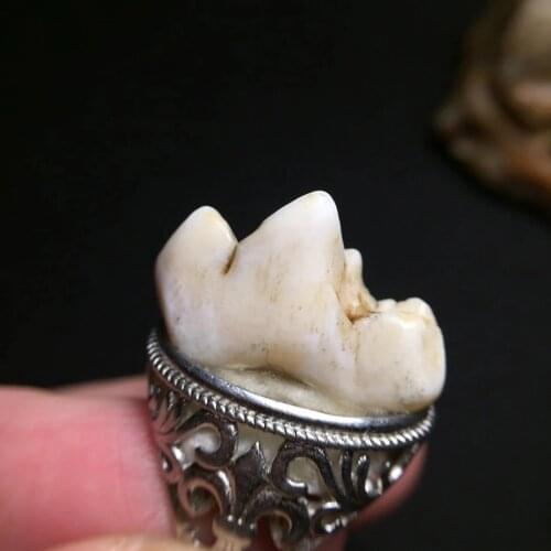 Mens Ring Animal Teeth Copper Inlay Adjustable Finger Wholesale Sale Bague Homme Popular Styles Srendy