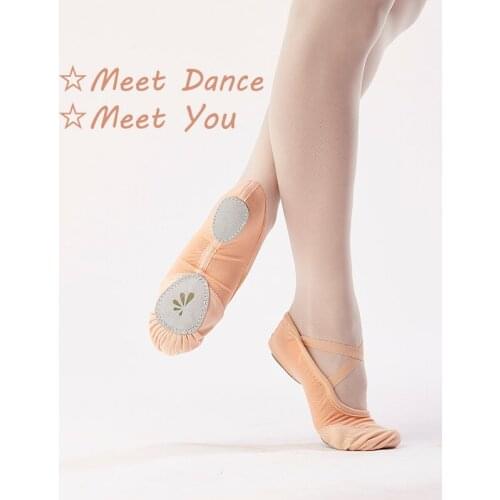 Girls Adult Mesh Stretch Fabric Nylon,Canvas,Cotton Ballet Shoes Women Soft Split Suede Sole Dance Shoes Pink Ballet Slippers