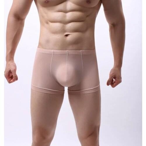 Sexy Ice Silk Men Boxers Shorts Seamless Transparent Underwear Bugle Pouch Boxershorts Slips Homme Gay Panties Plus Size Trunks