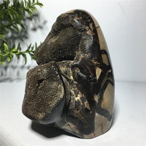 Natural Septarium Quartz Crystal Specimen Home Furnishing Decoration Stone Reiki Healing Ornament