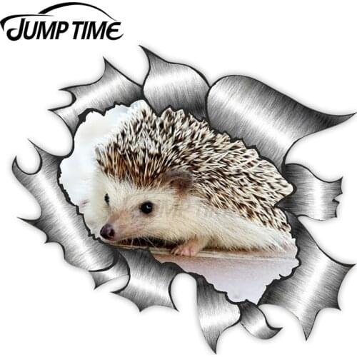 Jump Time Ripped Torn Metal Design With Cute Hedgehog Motif External Vinyl Car Sticker for Windows Bumper