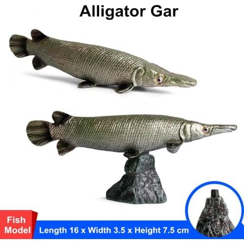 Alligator Gar Atractosteus Fish Figure Wild Animal Model Toy Collector Kid Gift Sea Life Animals Figurines Model Educational toy