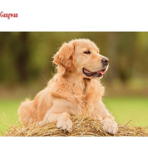 DIY 3D Diamond Embroidery Golden retriever Diamond painting Cross Stitch Full square round Diamond Mosaic dog Rhinestone Picture