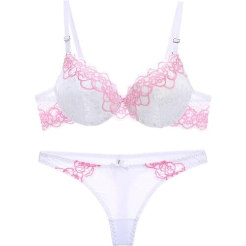Bras Suit Women Sexy Lace Embroidered Underwear Set Breathable Soft Push Up Adjustable Female Lingerie Sets For Women Hot Sell