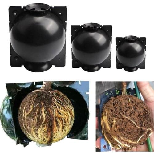 3pcs Plant Rooting Equipment Propagation Ball High Pressure Case Grafting Plant Propagator Gardening Seedling Tray
