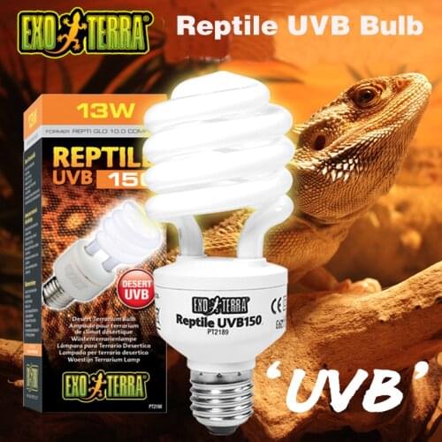 ASPET Terrarium Lamps