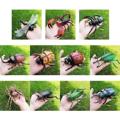 Simulation Wildlife Model Ornaments Realistic Insect Figure Children Educational Props Scene Decoration Kids Learning