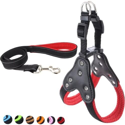 NIMBLE Products For Dogs