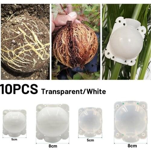 10pcs Garden Grafting Box 5/8cm Plant Rooting Equipment High Pressure Propagation Ball Parkside Tree Roses Nursery Pots Planters