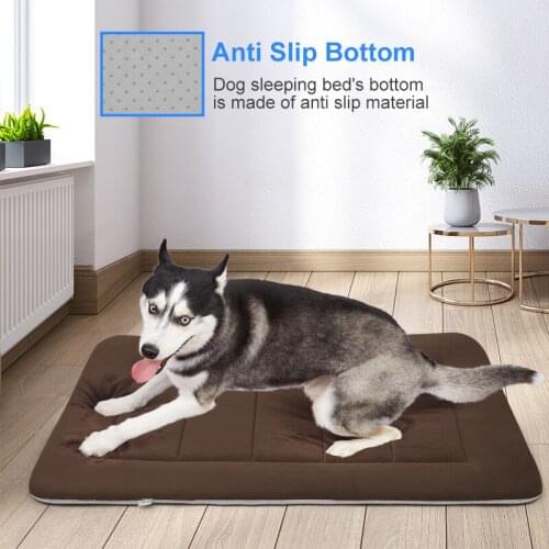 Hero Dog Products For Dogs