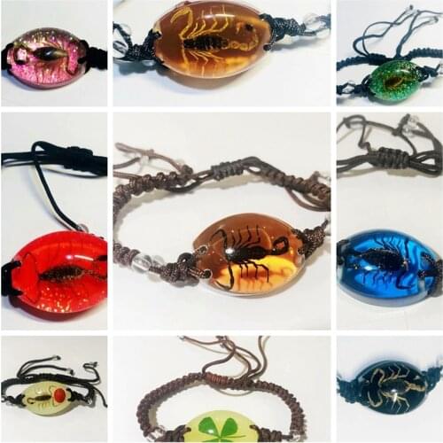 15 pcs Scorpion Spider Beetle Bracelet Accessories Real Mixed Fashion Insect High Quality Jewelry Special Gift Bracelets